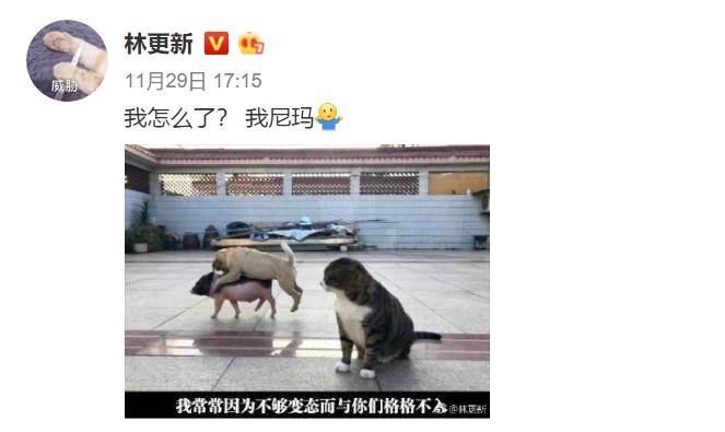 彩票中奖恶搞图，一场笑料与现实的奇妙碰撞