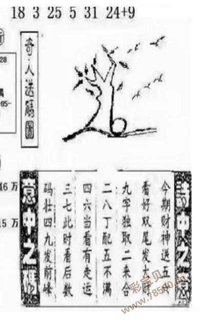 谜团交织，何首乌与双色球字迷图的神秘探索