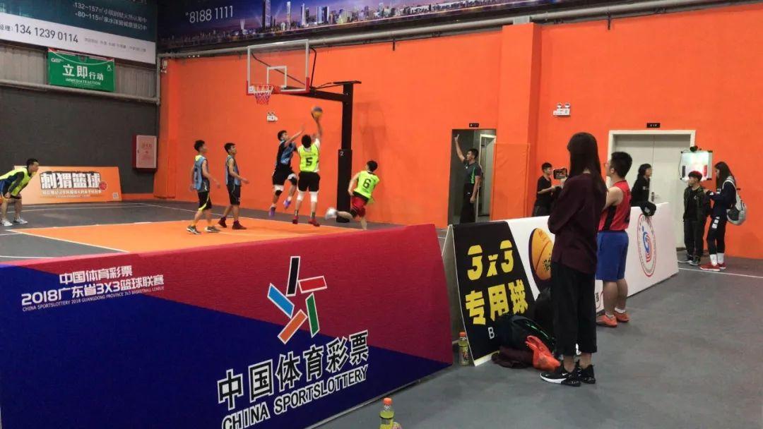 今日彩票号码，揭秘背后的数字游戏与幸运之道