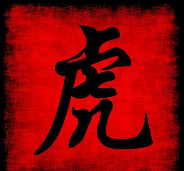 东方6+1，探寻幸运数字的奥秘