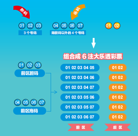 体育彩票大乐透玩法203，梦想与机遇的碰撞