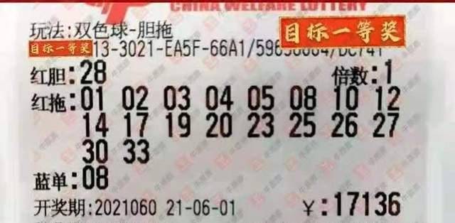 探索双色球开奖的奥秘，揭秘列号背后的逻辑与乐趣